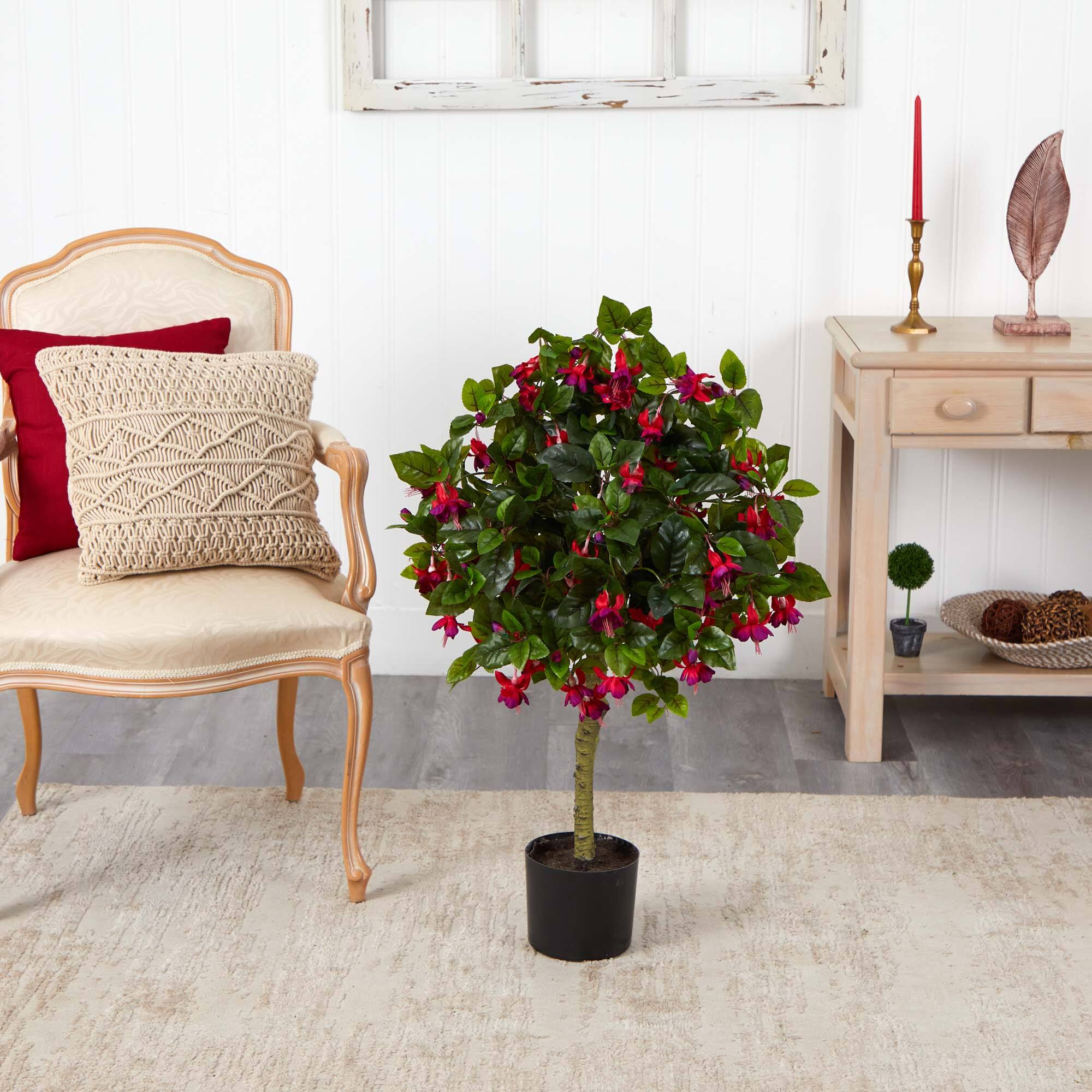 3ft. Potted Fuchsia Tree